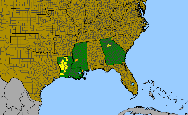 The range of Amsonia ludoviciana